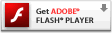 ? Adobe Flash Player